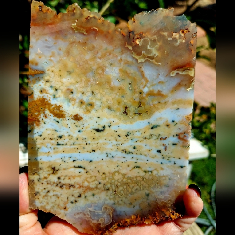 Big Ocean Jasper Slab